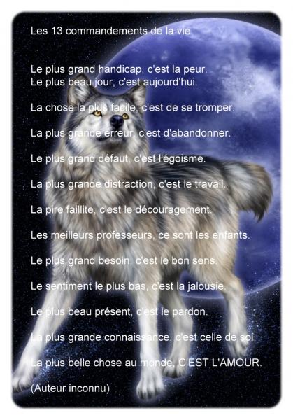 TREIZE